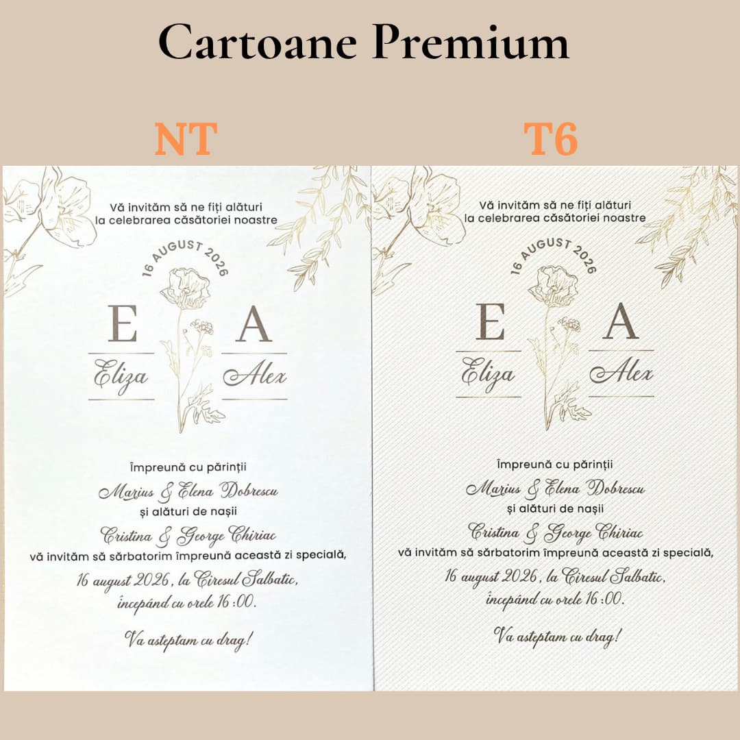 Carton Print Invitatii