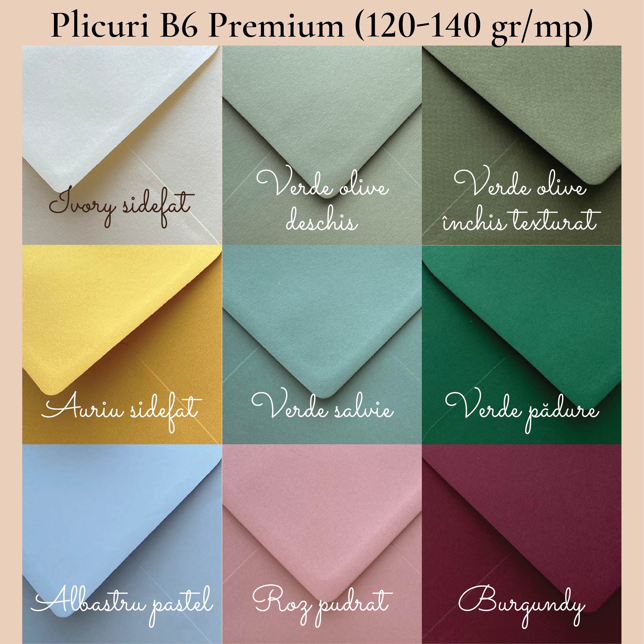 plicuri B6