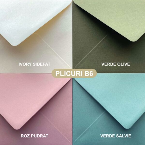plicuri B6